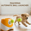 Automatic Interactive Dog Ball Launcher