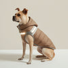 Waterproof Dog Jacket with Harness